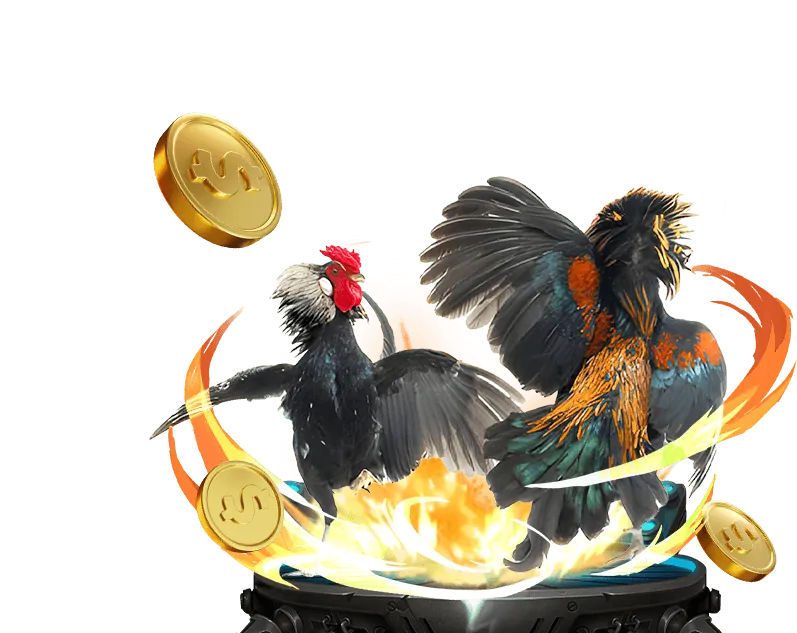 Cá cược thể thao rr88